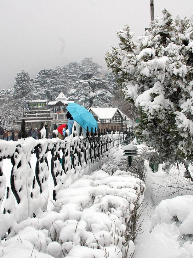 Stunning New Snowfall Turns the City Into a Winter Wonderland