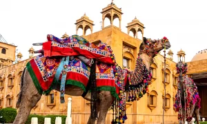 Why Rajasthan is the Best Winter Destination in India