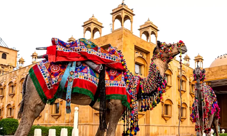 Rajasthan's Cultural Traditions