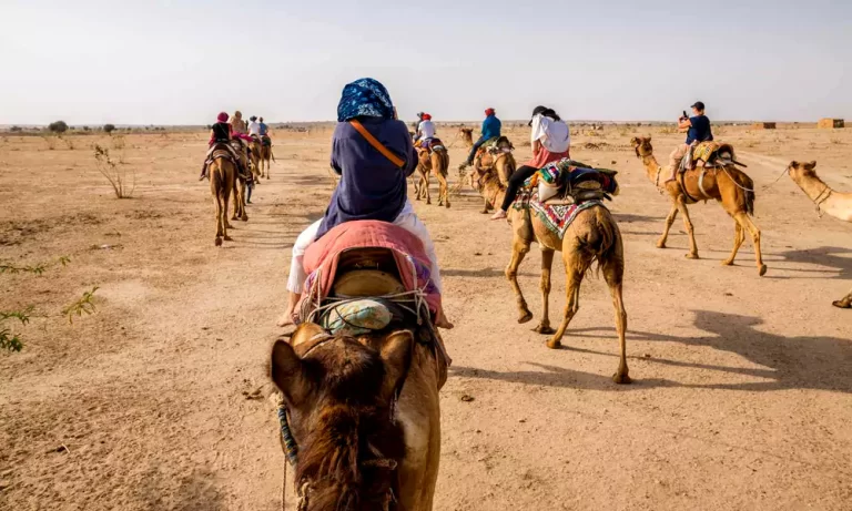 Camel and Yak Safaris