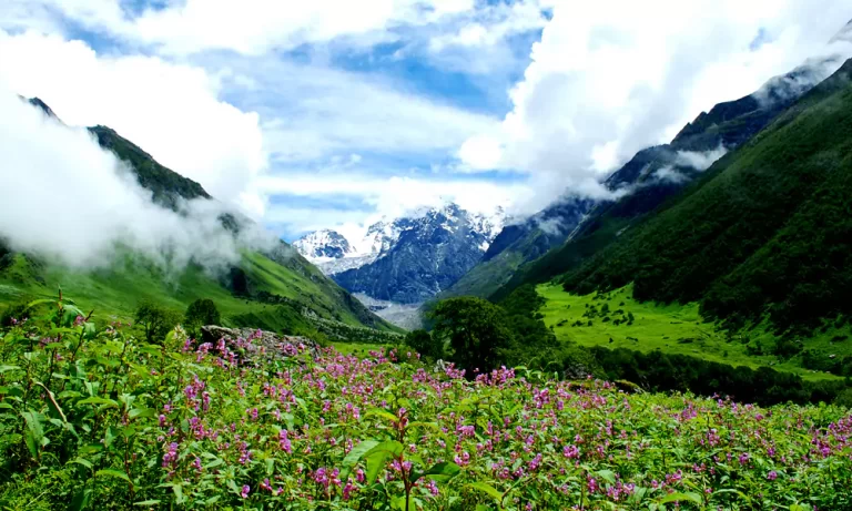 Valley of Flowers