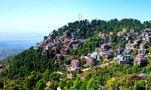 Top Places In Himachal To Celebrate Your Love