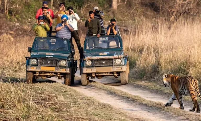 Ranthambore National Park