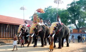 Top 20 Most Famous Festivals of Kerala