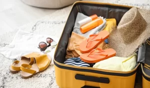 DIY Weather-Proofing: Tips for making your luggage and belongings weather-resistant