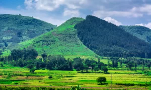 Absolute Stunning Hill Stations In South India