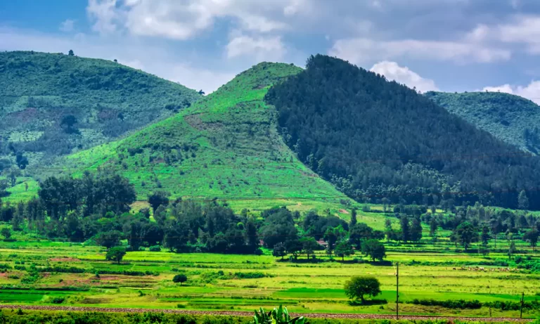 Araku Valley