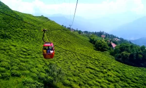 Darjeeling Ropeway: Ticket Price, Timings, Travel Tips