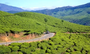 Top 14 Coldest Places in South India for Nature Lovers