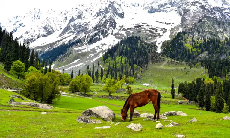 Sonmarg, Jammu & Kashmir