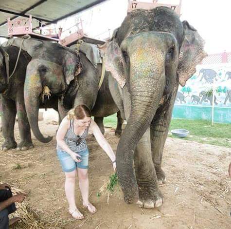 Rajasthan Elephant Safari