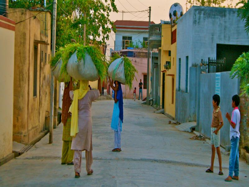 Punjab Village Images