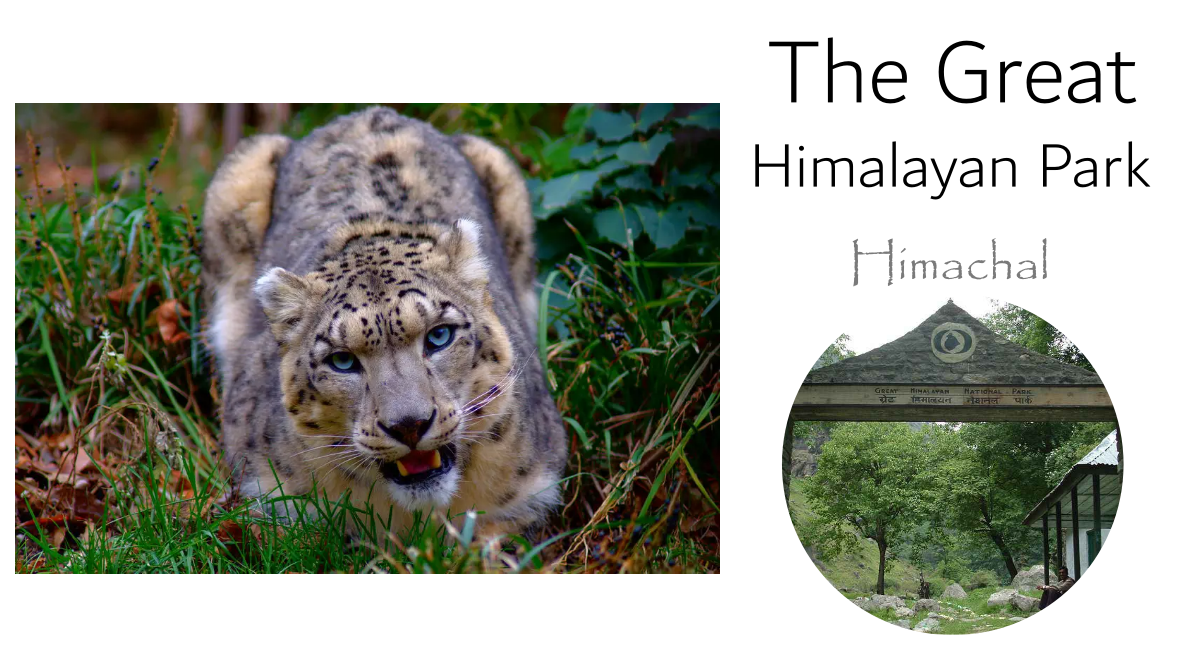 Great Himalayan National Park - Trek and Trails